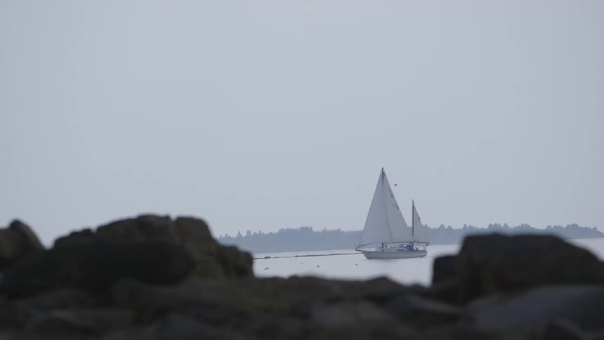 A small sailboat sailing on calm waters viewed from the shore