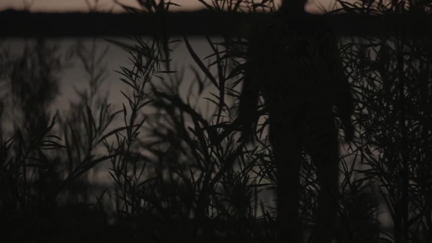 A person walking in the grass