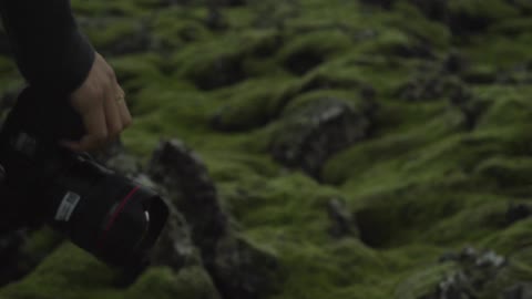 A young, brunette woman photographing moss covered rocks