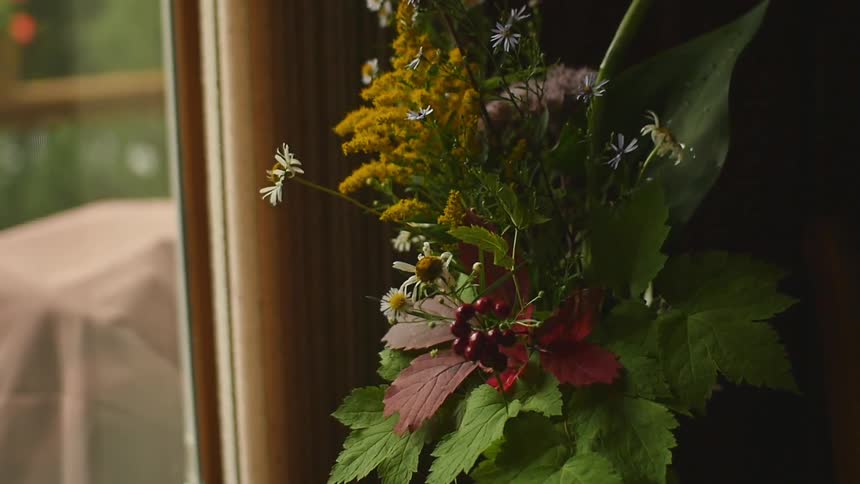 A close up view of a flower plant in the house