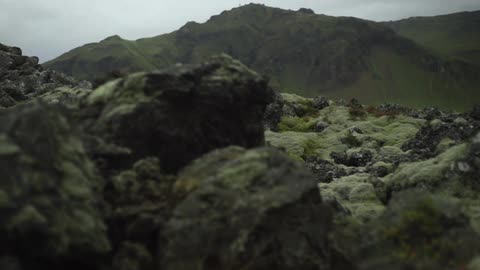 Mossy rocks on a mountain top