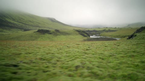 Lush green land in a valley