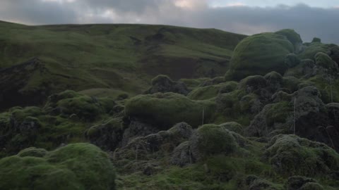 A grassy mountain top