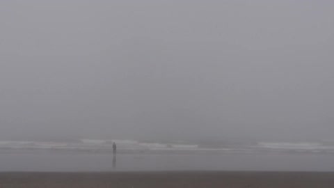 A foggy beach
