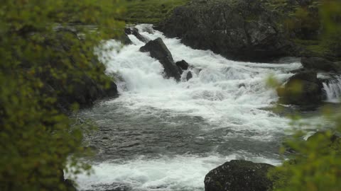 Water gushes through rapids on a river