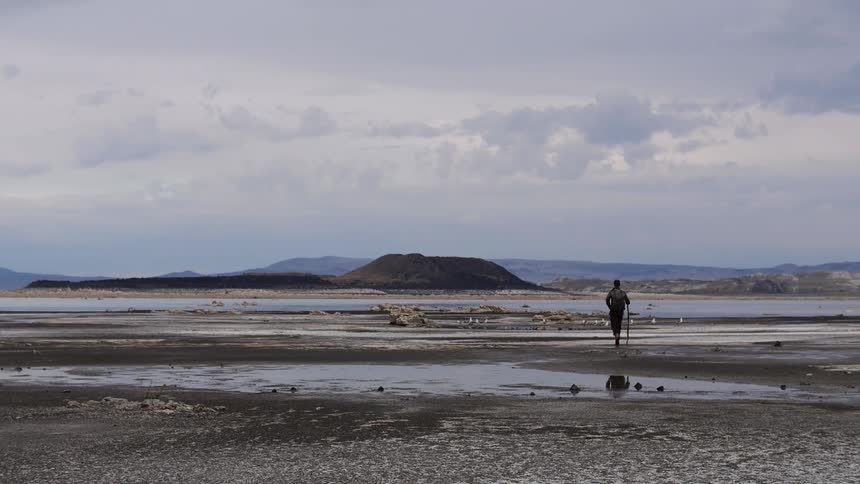 A man walks with a stick over a wet area of land