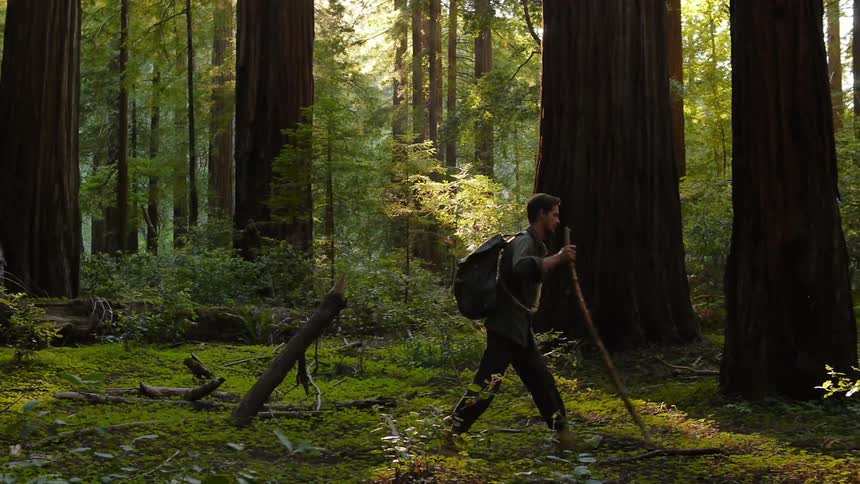 A young man hikes through a woodland area carrying a backpack and walking stick