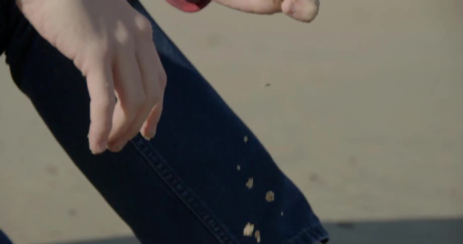 Person crumbling sand in their fingers sitting on the beach