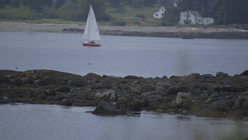 A sailboat sailing near the shore with houses