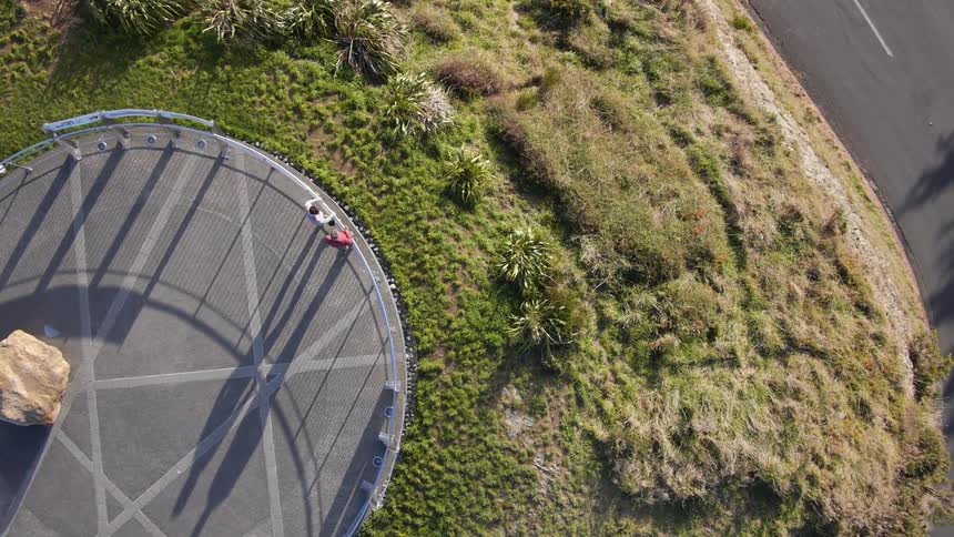 A bird flies above a park