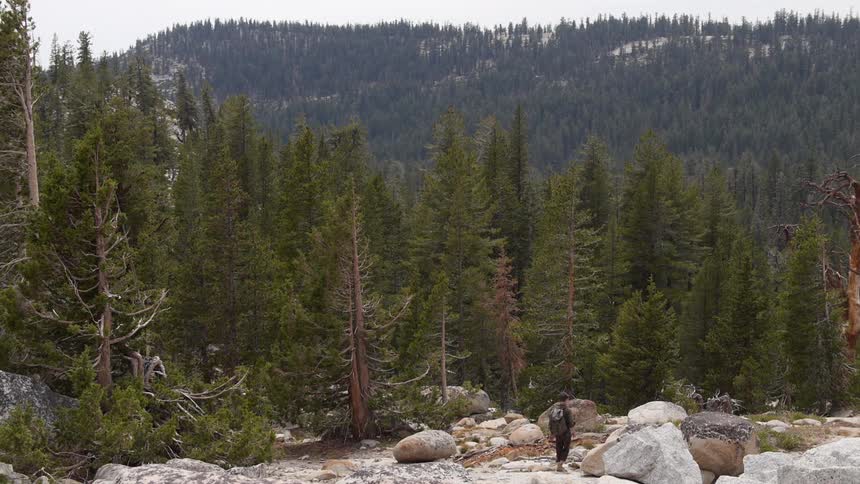 A man walks through a rocky area near a forest of trees