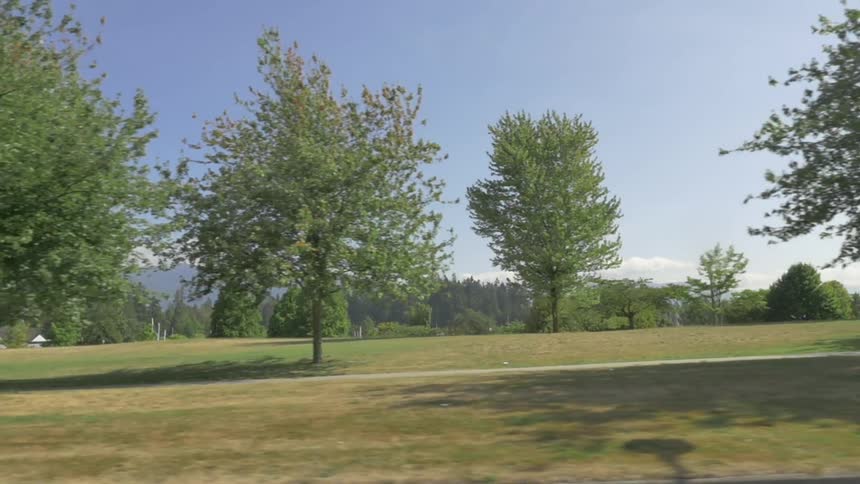 A scenery at the public park