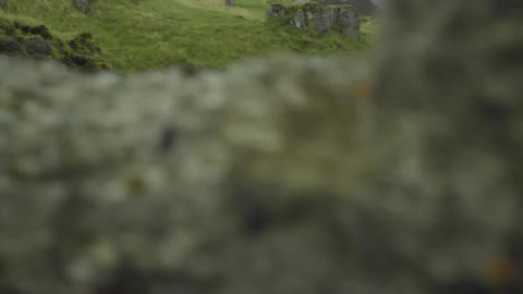 Water rushes down a mountainside