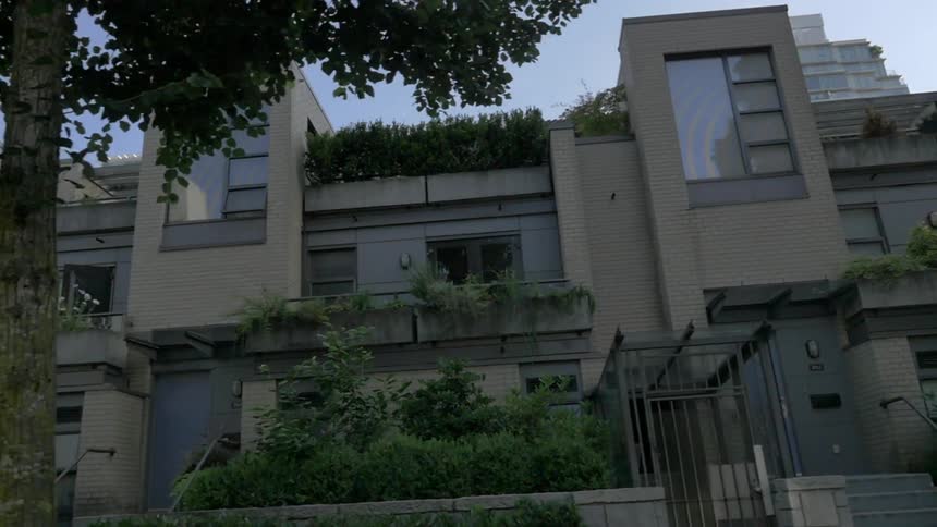Trees stand in front of buildings in a city