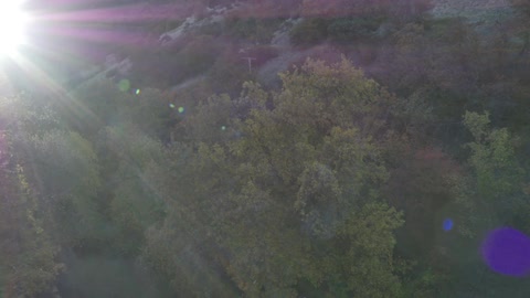 A couple walks through a quiet field