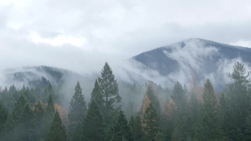 Wispy clouds blowing between mountain peaks on a cloudy day with tall evergreens in the foreground