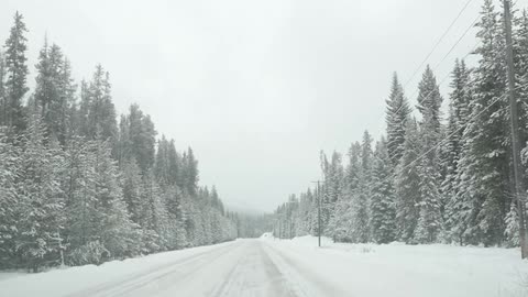 Driving along a straight roadway covered in snow and lined with snow-covered trees