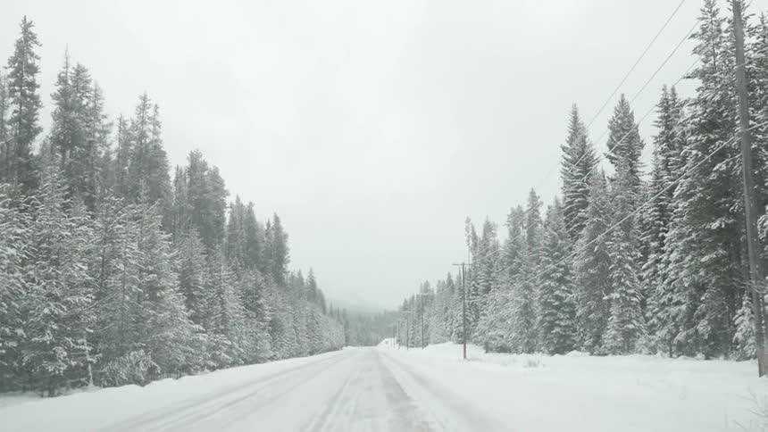 Driving along a straight roadway covered in snow and lined with snow-covered trees