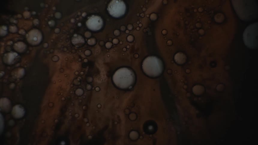 Brown, bubbly liquid under a microscope