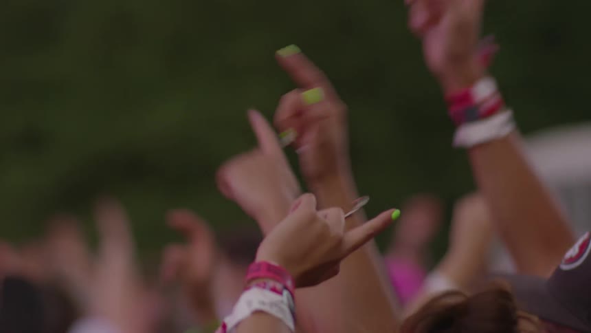 People are enjoying an outdoor concert