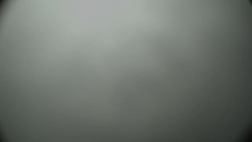 A microscopic view of an object