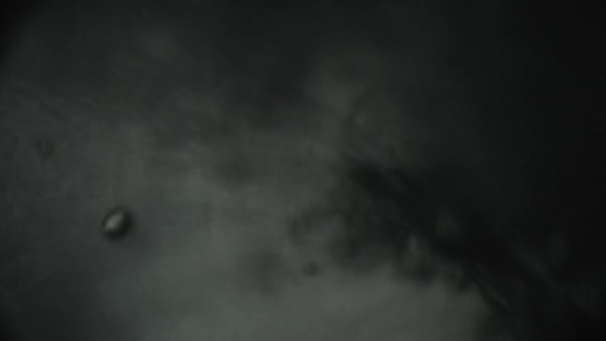 An abstract artistic video of a viscous liquid in a smudge and bubble pattern