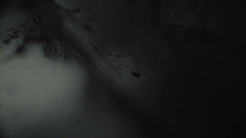 Aerial view of a mountain range
