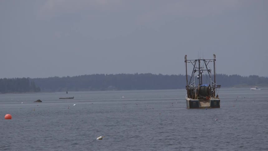 A small fishing boat sits on a lake where small pieces of trash can be seen floating