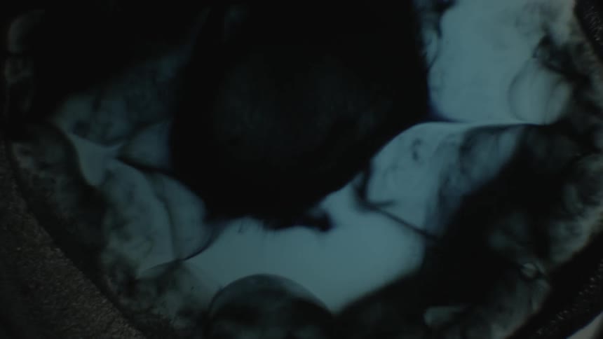 A drop of liquid into swirled black powder
