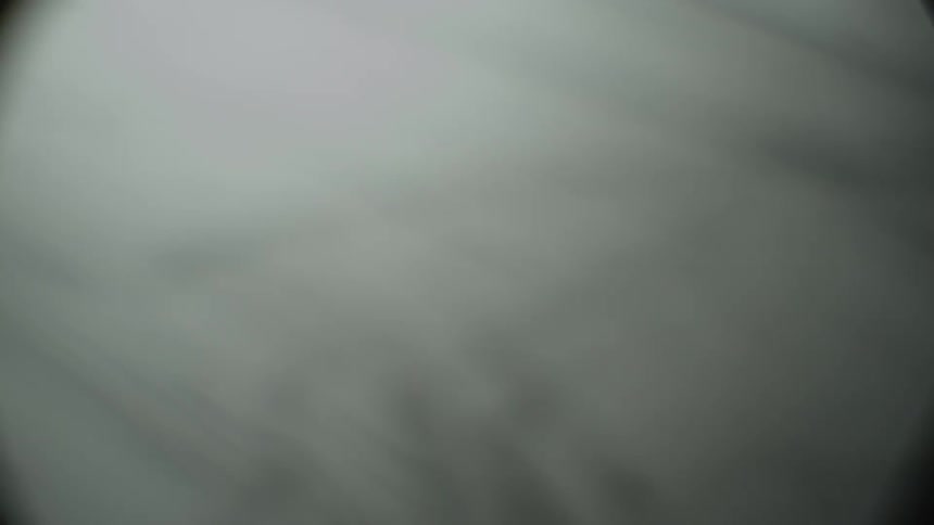 Magnified image of hair