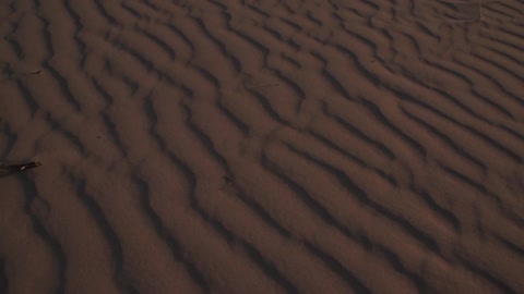 Aerial view of desert sand ridges