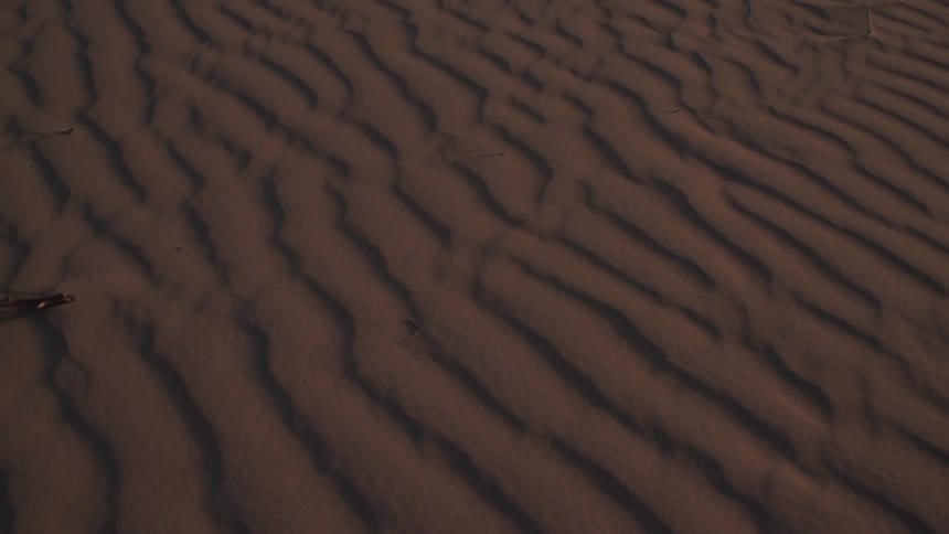 Aerial view of desert sand ridges