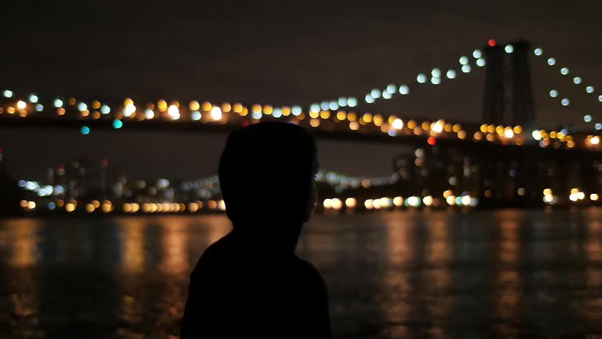 A silhouetted person looks at an illuminated bridge