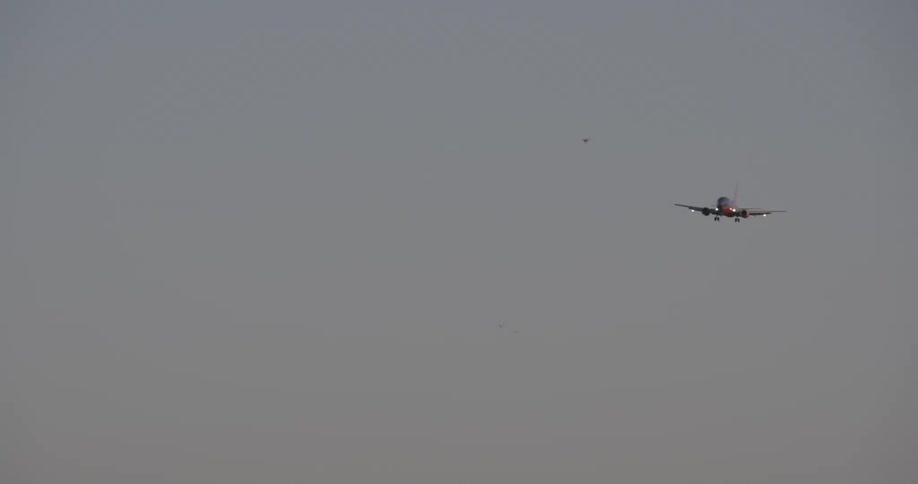 A plane and a bird flying through a cloudy sky