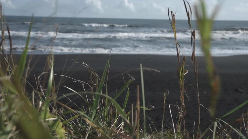A ground level view of a beach through grass on a hill