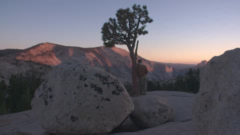 A person leans against a joshua tree looking out at the valley at sunrise