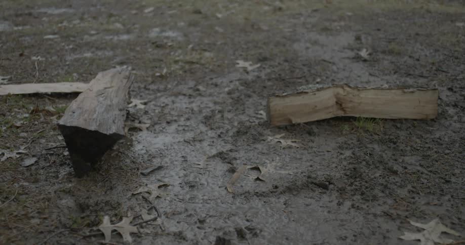 Logs are thrown into the mud