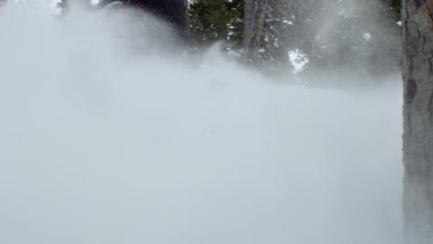 Someone riding a snowmobile in a forested area and causing the snow to spray outwards