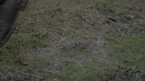 A man steps in a puddle