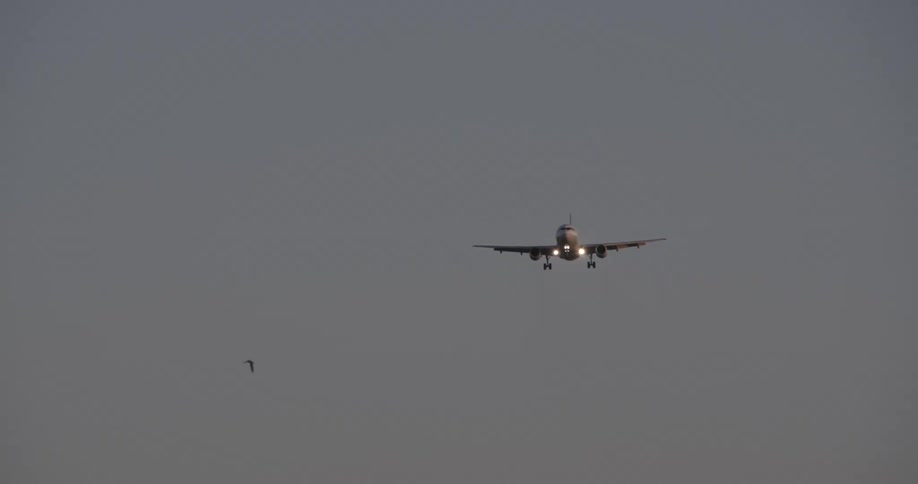 Airplane preparing for landing