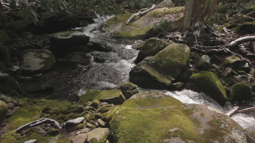 The stream runs through the rocks