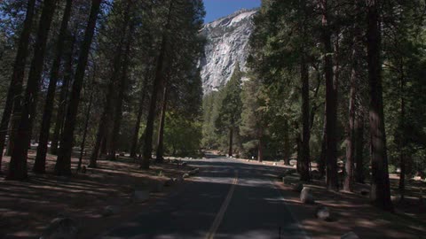 Road through trees with mountains ahead