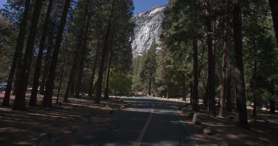 Road through trees with mountains ahead
