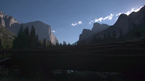 The shadows of the trees sit below the mountains
