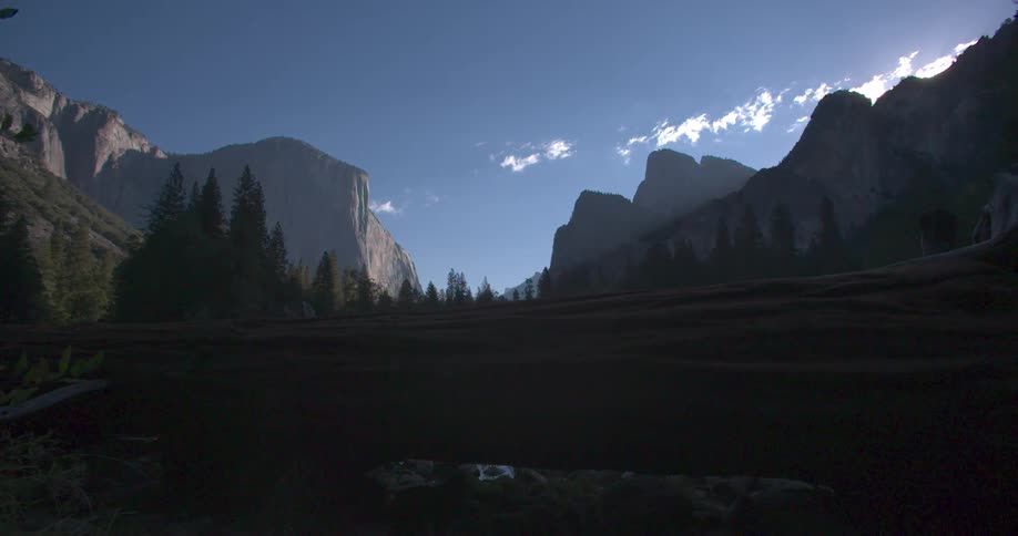 The shadows of the trees sit below the mountains