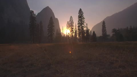 The sun setting behind a group of tall trees and tall mountains
