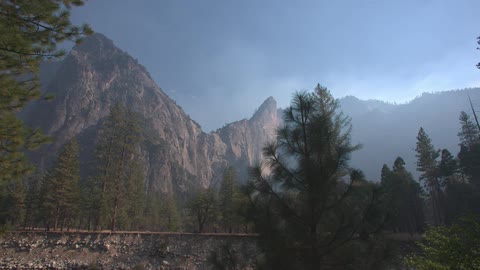 A forested mountain