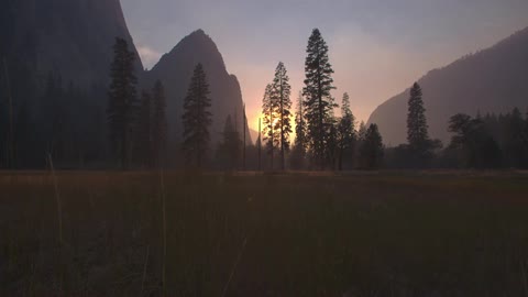 Trees and mountains at sunset