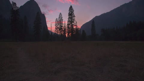 Pine trees are silhouetted against the setting sun
