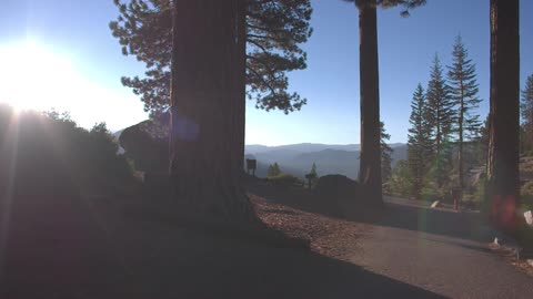 A path through a wooded area with signs on either sides of the path and mountains in the background